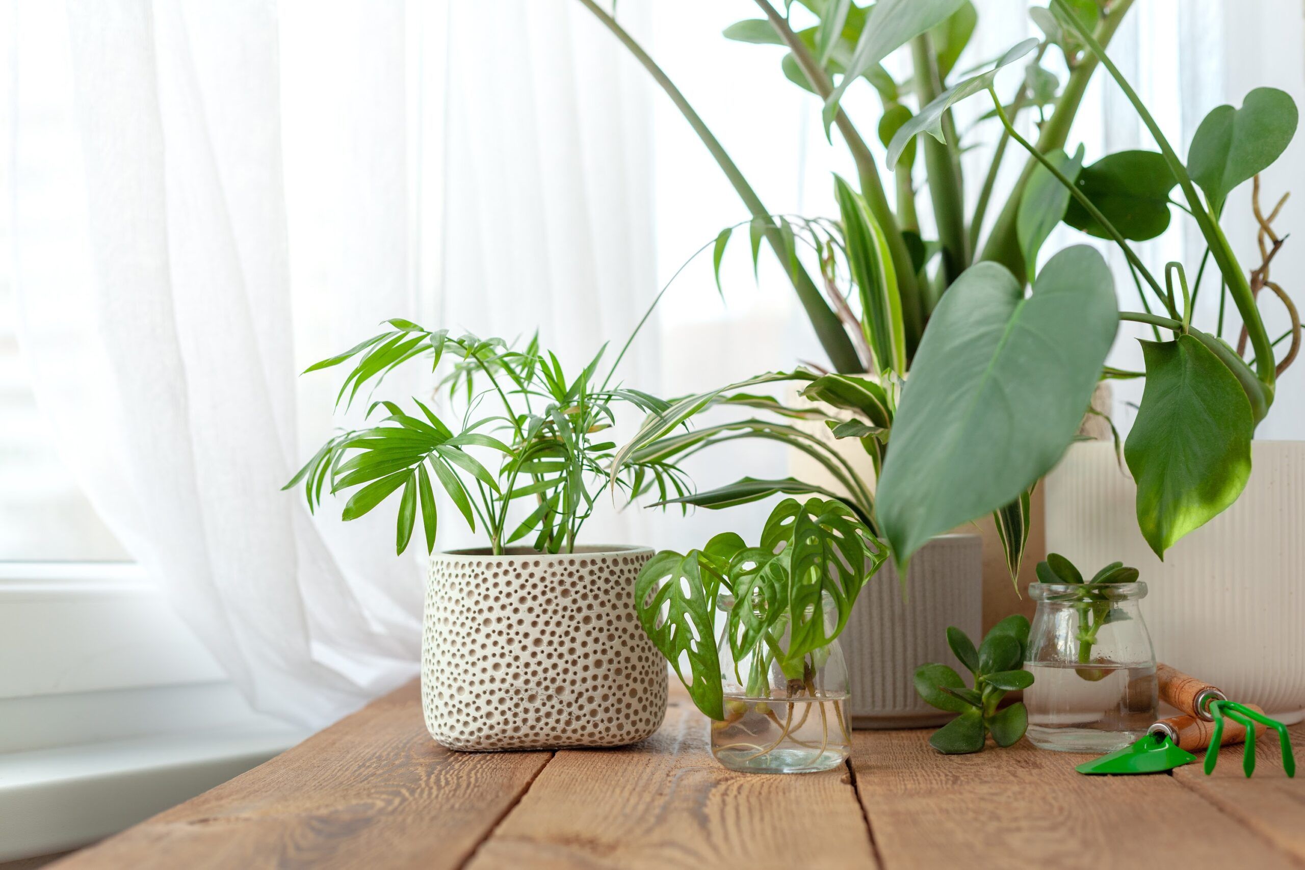 Indoor air quality in Washington, MO