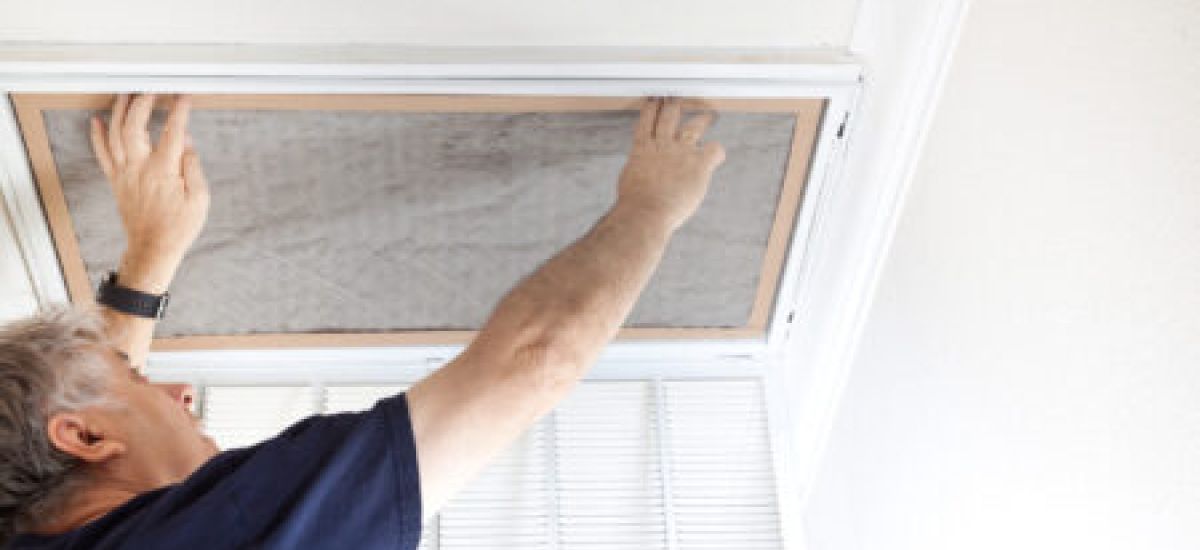 The Role of HEPA Filters in Air Purification
