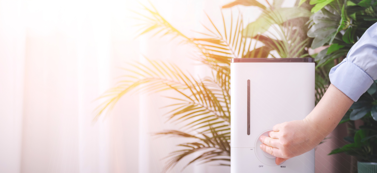 Breathe Easier: Is It Time for Whole House Air Purifiers?